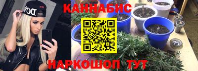 MDMA Можга