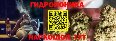 MDMA Можга