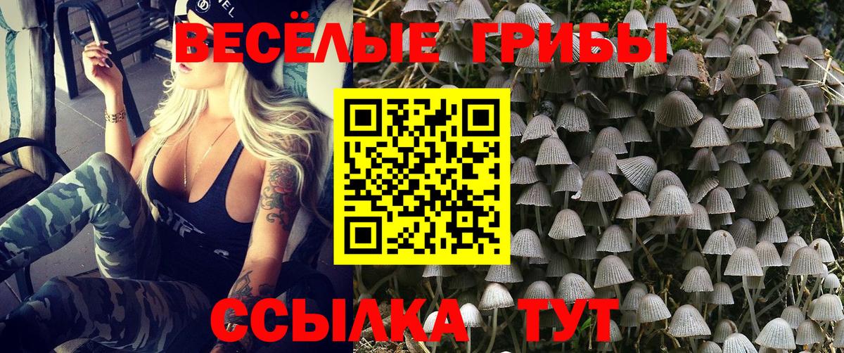 Галлюциногенные грибы MAGIC MUSHROOMS  Галлюциногенные грибы Magic Shrooms  Татарск  Вход с VPN 